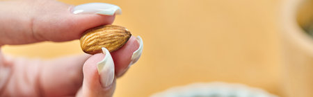 close up view of cropped vegetarian woman with delicious almond, wholesome plant-based diet, bannerの写真素材
