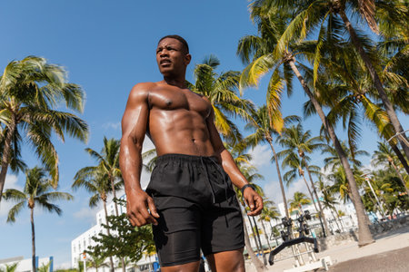 low angle view of muscular african american sportsman in shorts standing next to palm trees after workout in Miamiの写真素材