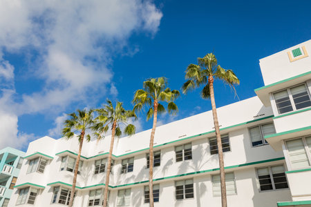 green palm trees growing near modern building against blue sky in Miamiの写真素材