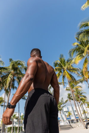 back view of shirtless african american sportsman in shorts standing next to palm trees after workout in Miamiの写真素材