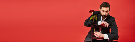 modern elegant businessman sitting on chair with rose looking at camera on red, horizontal bannerの写真素材