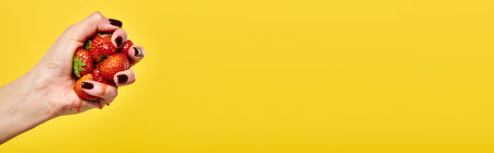 unknown female model squeezing juicy strawberries in her hand on yellow background, banner