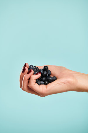 object photo of fresh juicy blueberries in hand of unknown young female model with nail polish