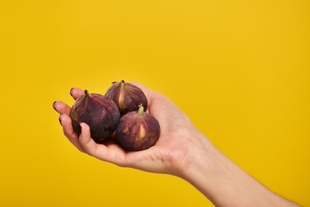 object photo of delicious organic figs in hand of young unknwon woman on vibrant yellow backdropの写真素材