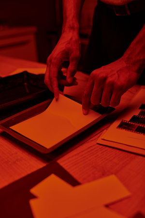cropped shot of photographer preparing film negative for photo development in red light darkroomの写真素材