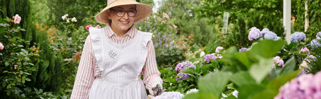 jolly mature woman with apron and gardening tools taking care of beautiful hydrangea, bannerの写真素材