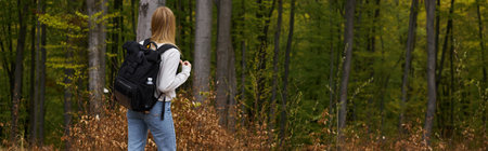 Back view of blonde woman adventurer walking through the forest discovering new paths, banner