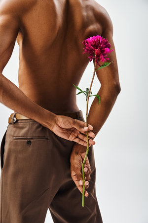A young, muscular African American man poses with a flower behind his back against a gray background.の写真素材