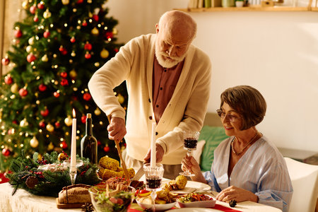 A loving couple cooks a festive Christmas meal together in their cozy home.の写真素材