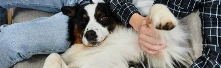 In a cozy modern apartment, a young man relaxes with his adorable Australian Shepherd dog, banner