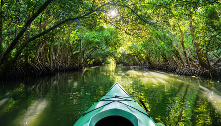 Exploring the serene waterways of vibrant mangrove forests during a sunny summer afternoon.の素材