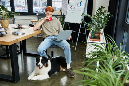 Young red haired man sits in an office, sipping coffee while working on his laptop beside his dog.のeditorial素材