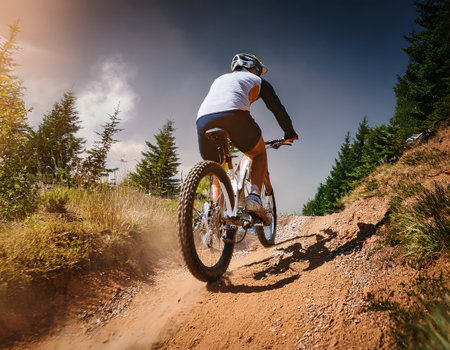 A cyclist navigates a challenging dirt trail surrounded by towering trees on a sunny day.の素材