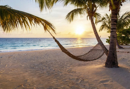 Enjoy a peaceful moment on a sandy beach, rocking gently in a hammock at sunset.の素材