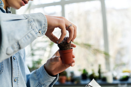 Hands nurture a small plant in a bright art studio, showcasing creativity and care.の写真素材