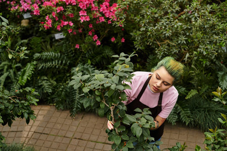 A young woman cares for vibrant plants in a colorful, lively greenhouse.のeditorial素材