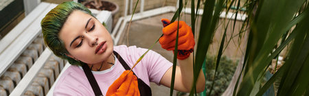 A bright woman in a greenhouse carefully trims plants, focused on her gardening tasks.のeditorial素材