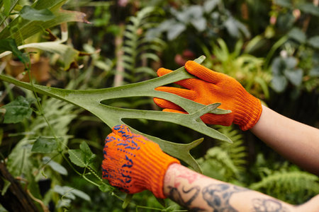 A young woman with vibrant orange gloves skillfully tends to lush green plants in a greenhouse.