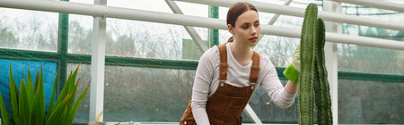 In a vibrant greenhouse, a young woman gently cares for a tall cactus, embracing nature.の写真素材