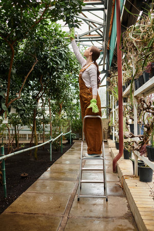 A beautiful young woman carefully reaches for leaves in a lively greenhouse, enjoying nature.の写真素材
