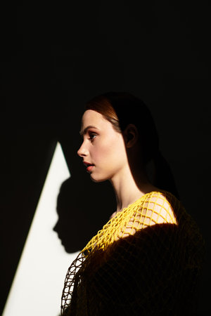 A graceful young woman stands elegantly, bathed in soft light and deep shadows, radiating serenity.の写真素材
