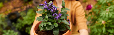 Growing lush plants in a serene greenhouse, a woman shares her passion for gardening, banner