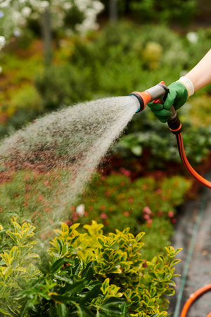 A passionate female gardener waters lush greenery in her vibrant greenhouse, enjoying the day.の写真素材