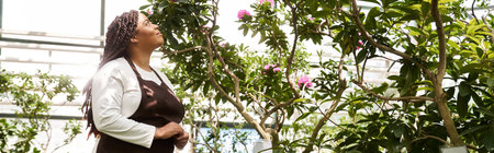 An African American woman with braids tends to flourishing plants, embracing nature beauty, bannerの写真素材