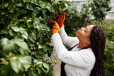 An African American woman with braids tends to lush greenery in a warm greenhouse, enjoying nature.