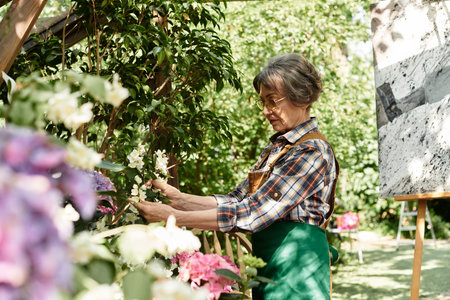 A beautiful senior woman carefully arranges colorful flowers in her lush garden filled with life.の写真素材