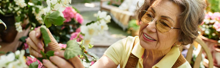 In a lush garden, a senior woman smiles while tending to her blooming flowers.の写真素材