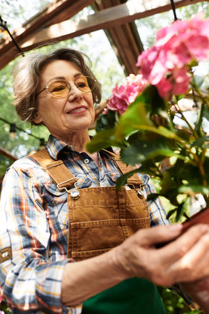 Joyful elderly woman tends to blooming flowers in her lush garden, surrounded by natures beauty.の写真素材