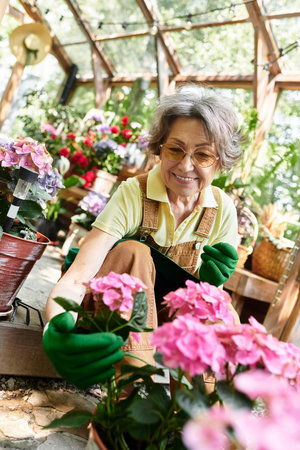 In a lively garden, an elderly woman joyfully nurtures colorful blossoms with care and love.の写真素材