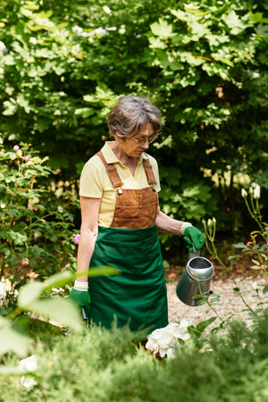 Beautiful senior woman in a lush garden carefully watering her flowers while enjoying nature.の写真素材