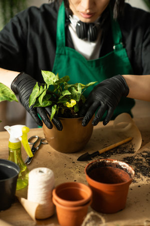 Asian florist plants a green plant in a terracotta pot, tools nearby.の写真素材