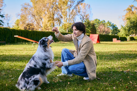 A curly-haired young man delights in training his Australian Shepherd in a vibrant green park.