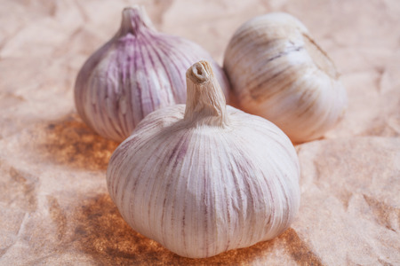 Three garlic on paper surfaceの写真素材