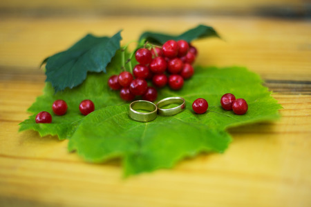 Wedding rings on leaf viburnum with viburnumの写真素材
