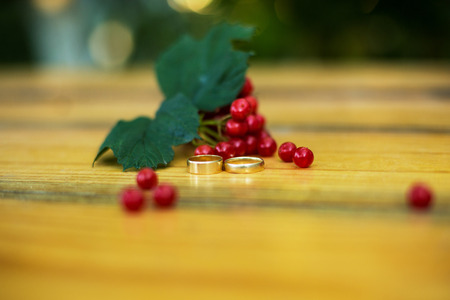 Wedding rings on table with viburnumの写真素材
