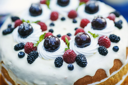 Fruit on the blueberry cakeの写真素材