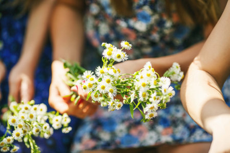 Girl and flowersの写真素材