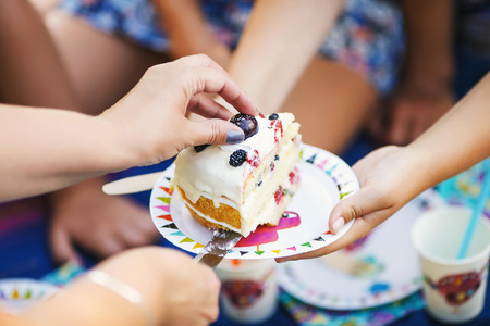 One piece blueberry cakeの写真素材