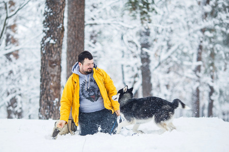 Man and dog in the snow in a forest in the afternoonの写真素材