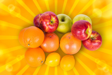 Set of citrus fruit on a white backgroundの写真素材