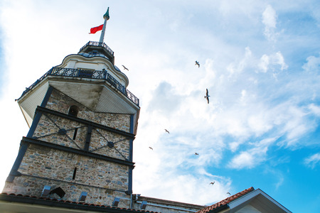 Seagulls flying in the blue sky near the tower without the seaの写真素材
