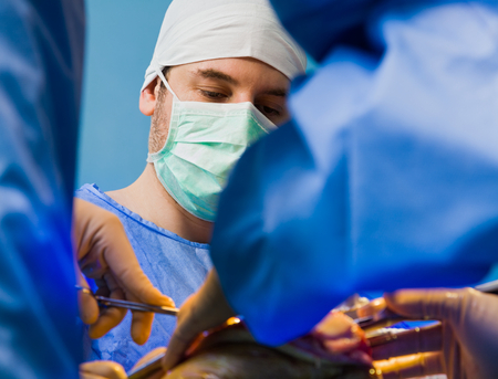Surgeons working in the emergency room in team.