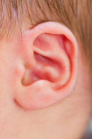 Newborn baby ears closeup after birth.の写真素材