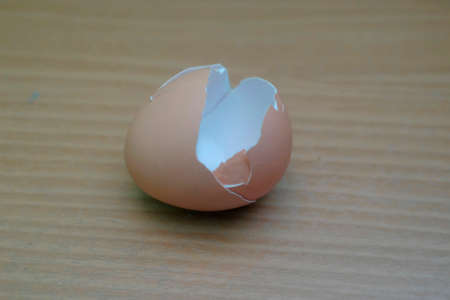 broken egg shell isolated wood