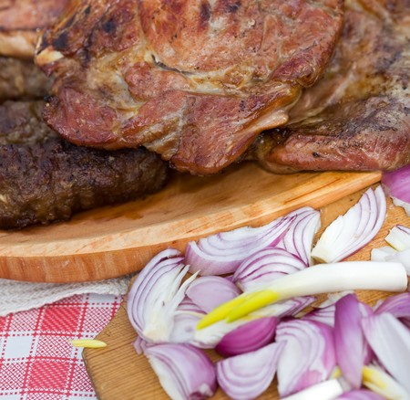 Basic food - grilled meat and fresh onion slices closeupの写真素材