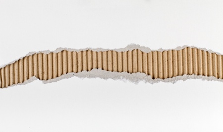 Torn paper strip series - white cardboard ripped apart showing underlying corrugated brown layerの写真素材